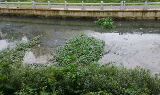 [廣東]河道清淤8寸立式泥漿泵，砂泵廠家直供